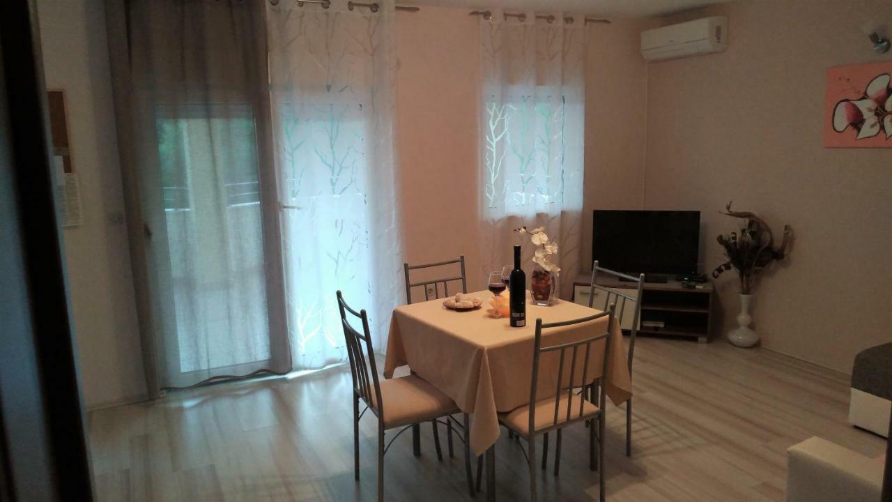 Apartments Annie 罗戈兹尼察 外观 照片
